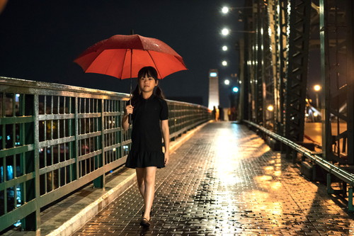 ホームステイ　ボクと僕の100日間